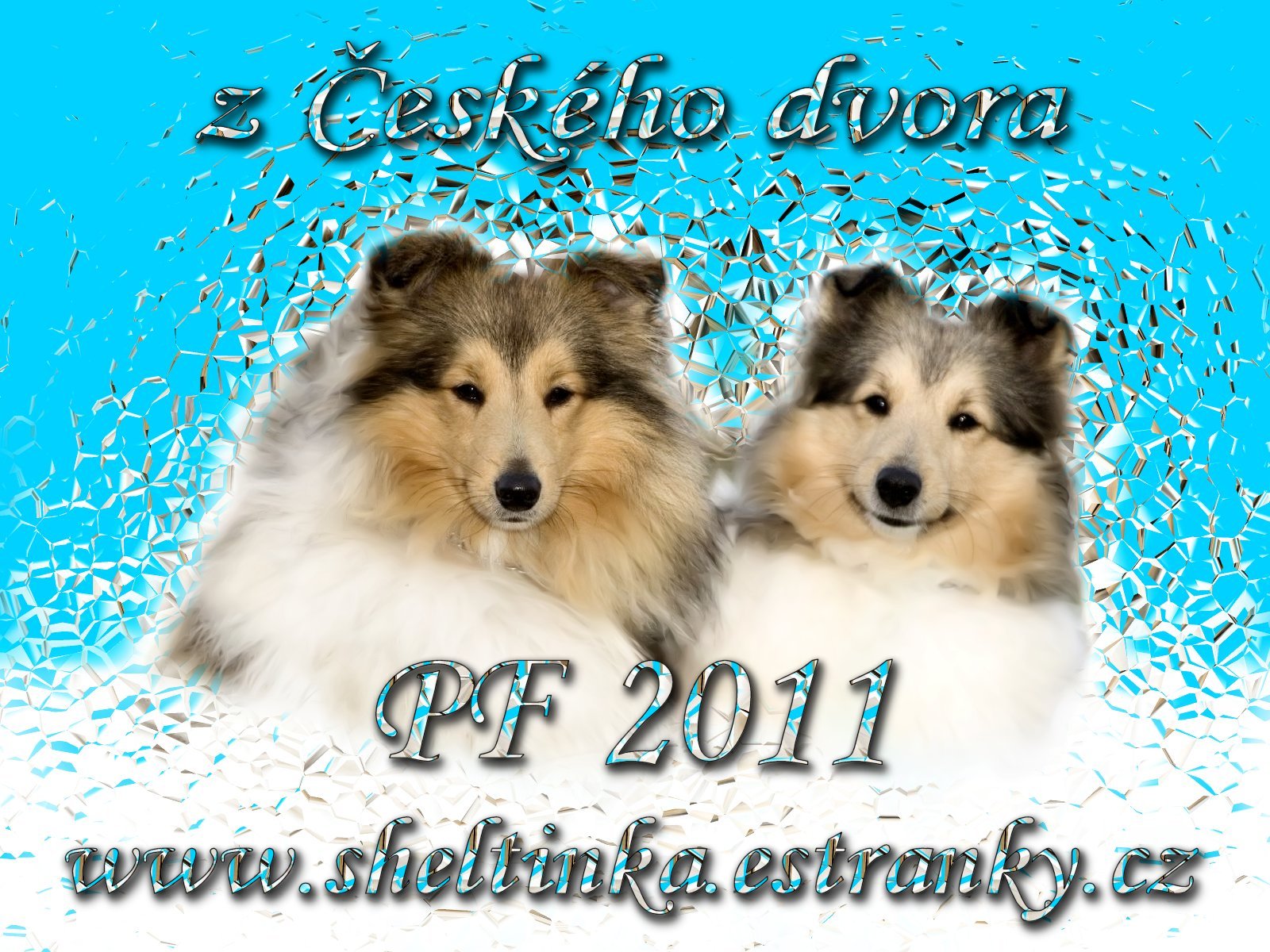 PF 2011